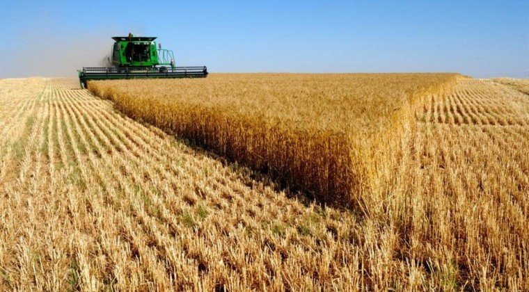 ЧЕЧНЯ. Более 75 000 гектаров земли будут включены в состав земель сельскохозяйственного назначения