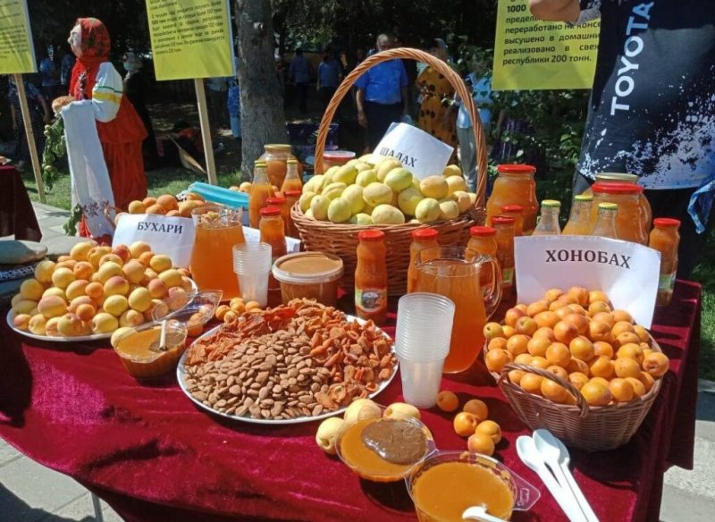 ДАГЕСТАН. В Махачкале проходит Фестиваль абрикосов