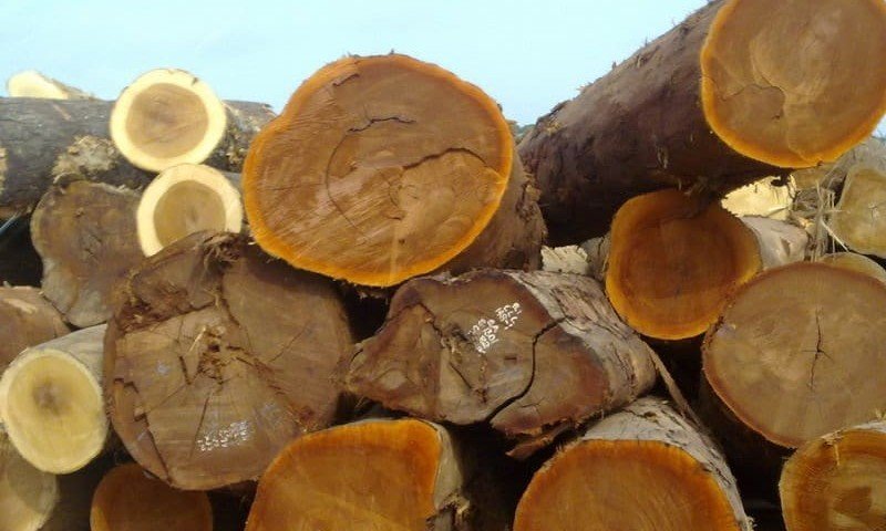 ИНГУШЕТИЯ. В Ингушетии задержали автомобиль, перевозивший древесину ценной породы