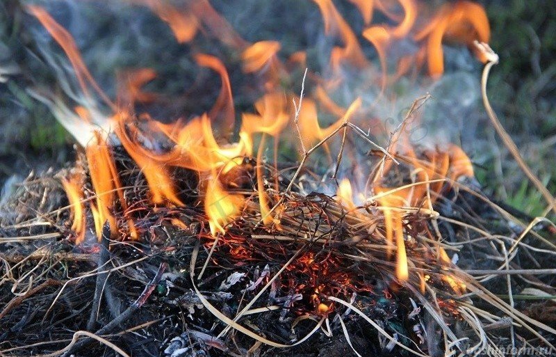 КАЛМЫКИЯ. На юго-востоке Калмыкии ожидается пожарная опасность 5 класса