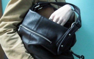 КАЛМЫКИЯ. Сотрудниками полиции «по горячим следам» раскрыта кража сумки, принадлежащей жительнице Элисты