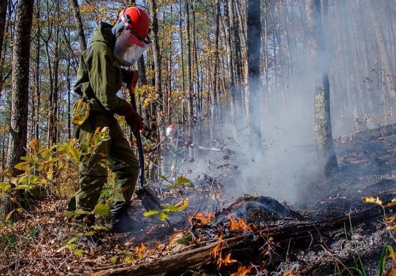 КРАСНОДАР. Высокий уровень пожарной опасности действует на Кубани