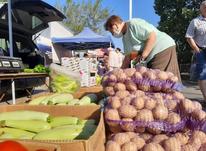 КРЫМ. Снижение цен на сельхозпродукцию: в Крыму стартовал новый сезон ярмарок