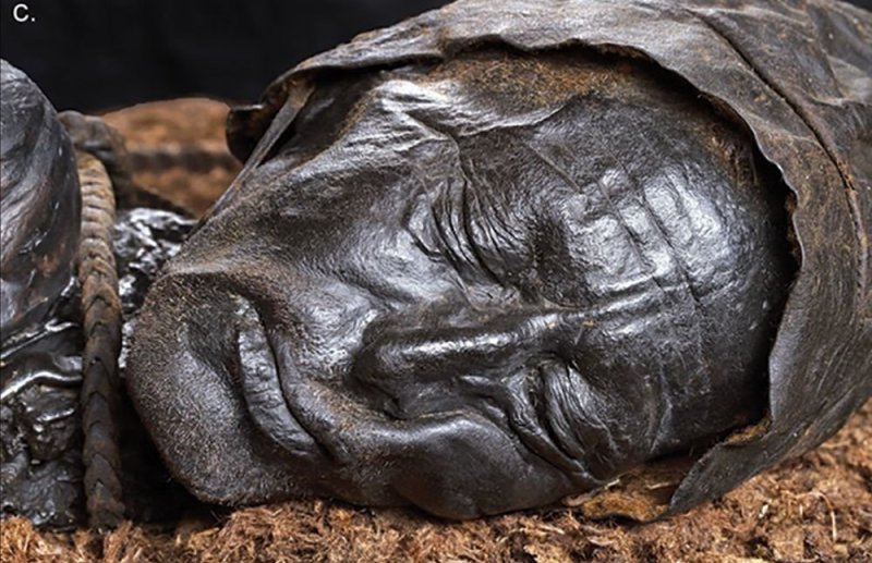Мумия «болотного» человека помогла ученым узнать, чем питались люди 2400 лет назад