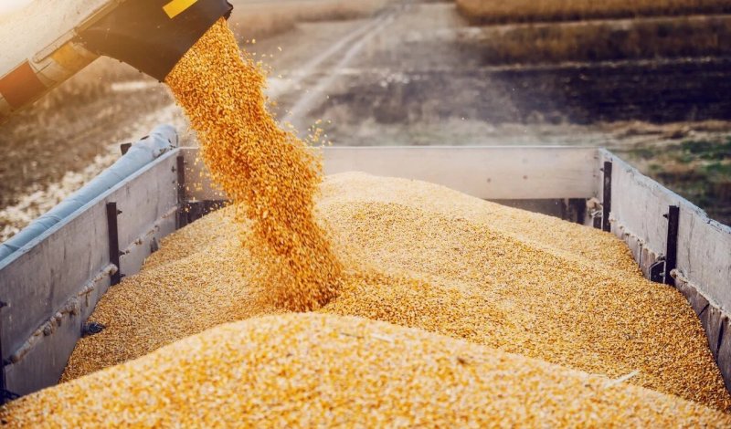 РОСТОВ. Первый миллион тонн зерна собрали с полей Ростовской области