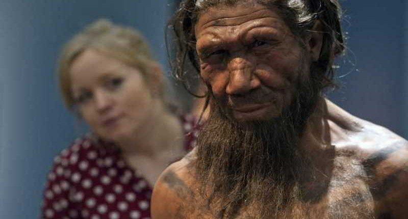 Ученые выяснили, как сильно современный человек отличается от неандертальцев
