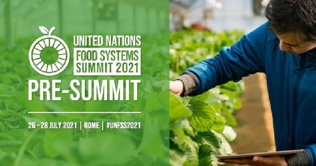 В Риме стартовал саммит ООН по продовольственным системам