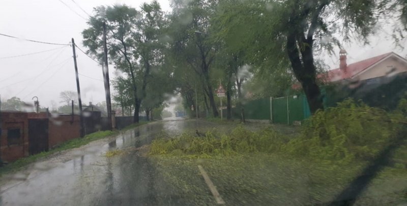 ВОЛГОГРАД. На Волгоградскую область надвигается штормовой ветер