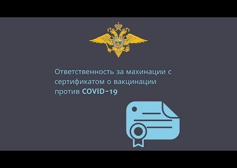 ВОЛГОГРАД. Полиция предупреждает об уголовной ответственности за липовые прививочные сертификаты