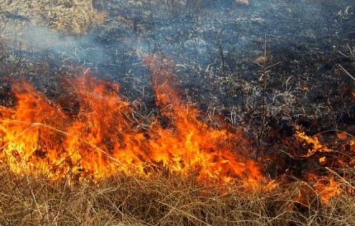 АСТРАХАНЬ. Пожар на Городском острове в Астрахани тушат уже 6 часов
