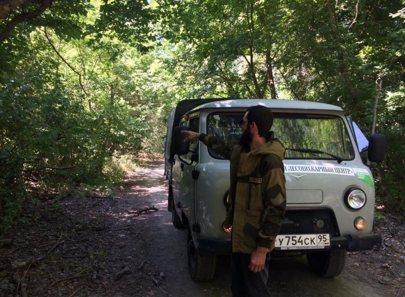 ЧЕЧНЯ.  Работники лесничеств республики проводят в лесах мрейдовые мероприятия