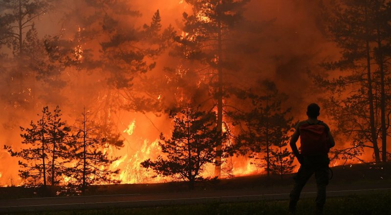 ЧЕЧНЯ. С 30 августа по 1 сентября в ЧР сохраняется высокая пожароопасность