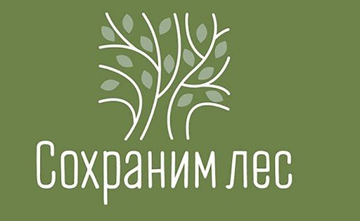 ЧЕЧНЯ.  В рамках Всероссийской акции «Сохраним лес» в республике высадят более 200 тысяч деревьев