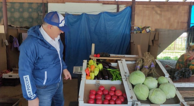 ЧЕЧНЯ. Самые доступные цены на сезонные овощи в Ножай-Юртовском и Урус-Мартановском районах ЧР