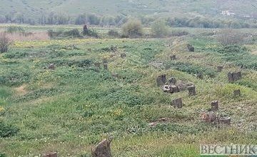 КАРАБАХ. Экологические последствия оккупации и карабахской войны