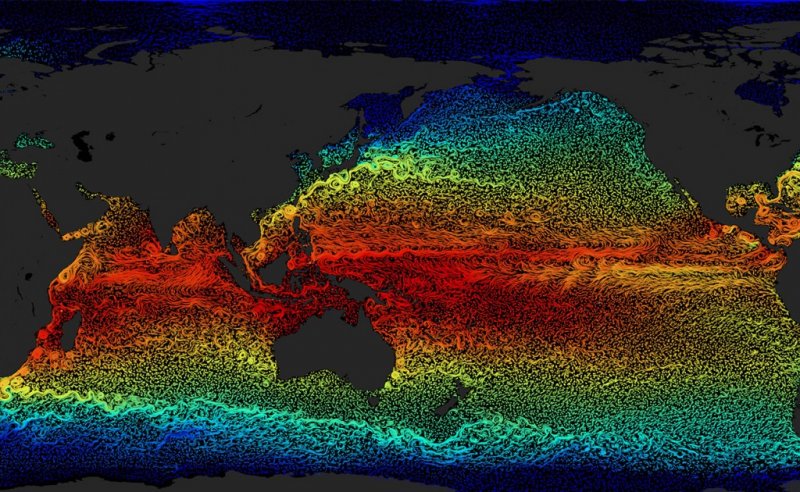 Ученые: перемещение видов к полюсам вызывает нагрев океана