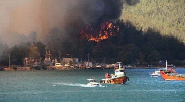 Организация "Дети огня" взяла на себя ответственность за поджоги лесов в Турции - СМИ