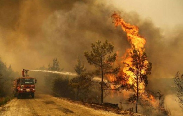 Пожарным в Турции удалось локализовать 196 из 208 очагов лесных пожаров