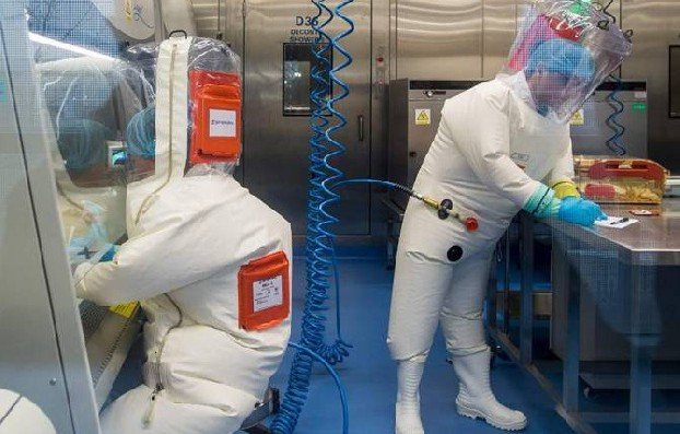 Разведка США получила генетические данные о вирусах в лаборатории в Ухане. CNN