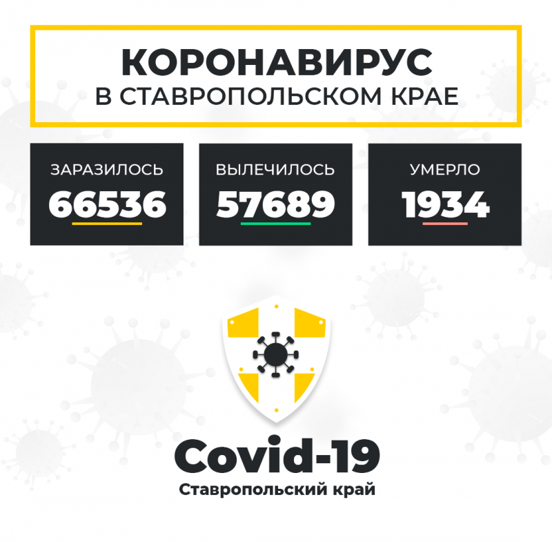 СТАВРОПОЛЬЕ. На Ставрополье за сутки от коронавируса выздоровело 203 человека