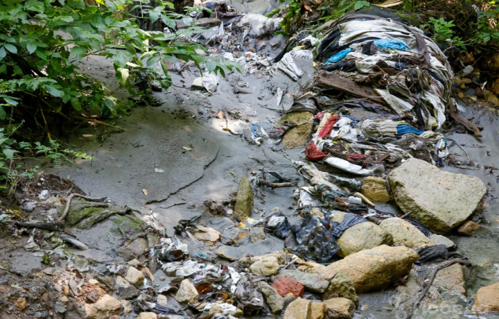 СТАВРОПОЛЬЕ. Ставропольские лесники обеспокоены регулярностью загрязнений реки Члы