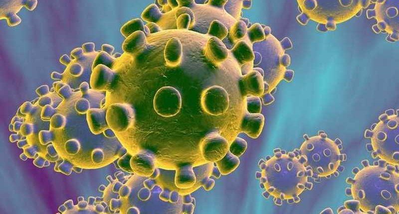 Ученые предсказали появление нового штамма коронавируса со смертностью 35%