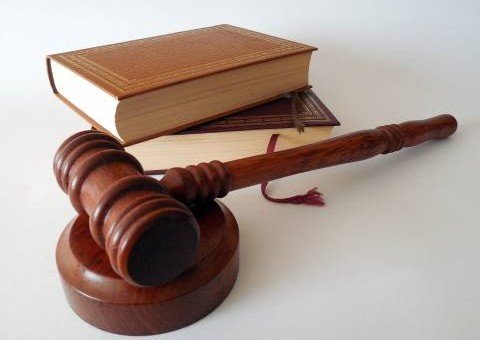 В России с 1 сентября в силу вступит ряд новых законов