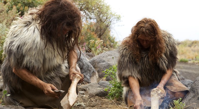 Антропологи выяснили, что неандертальцы вымерли из-за  смены климата