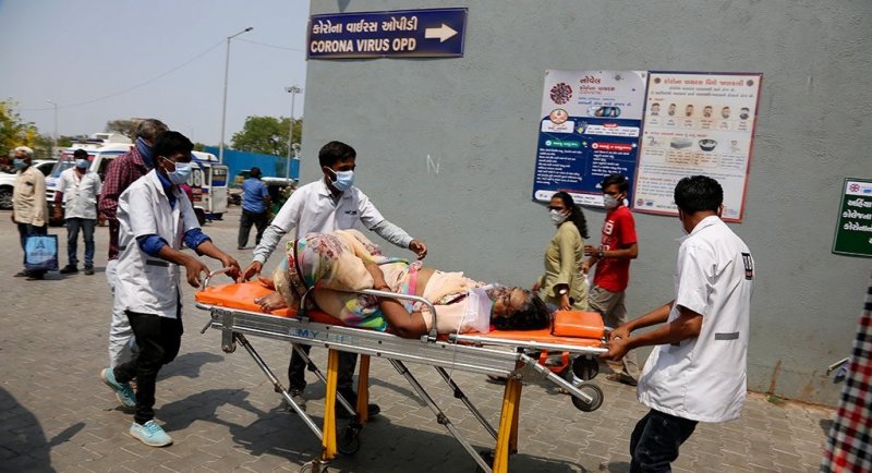 У 11 человек в Индии выявлен смертельный вирус Nipah