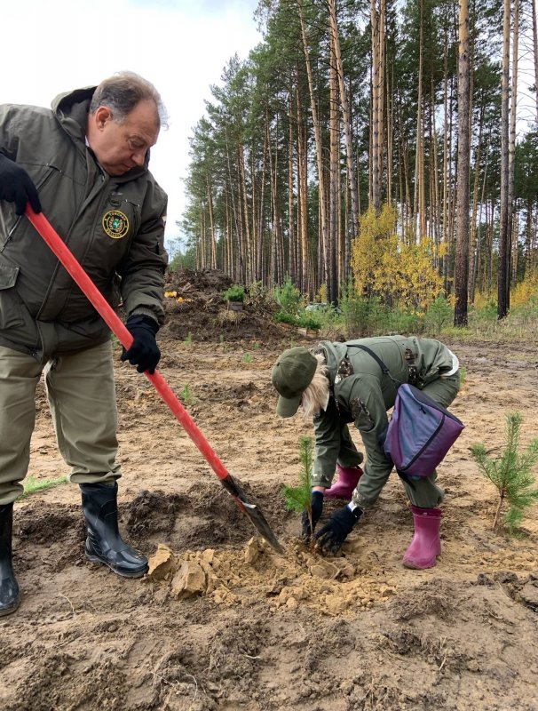 КЧР. 5750 саженцев высадят в Карачаево-Черкесии в рамках акции «Сохраним лес»