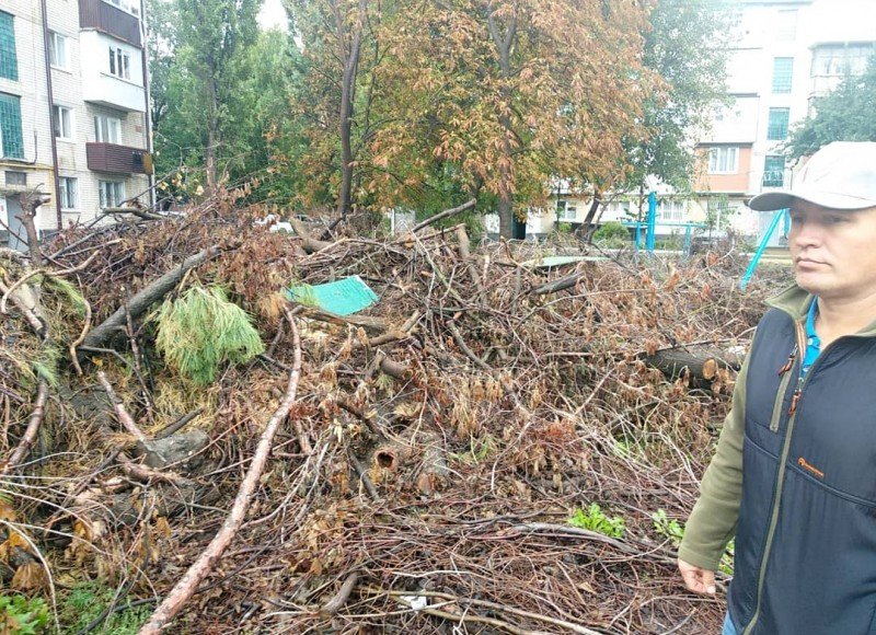 КЧР. Народный фронт призвал власти Черкесска привести в порядок заваленный спиленными деревьями двор на Фабричной улице