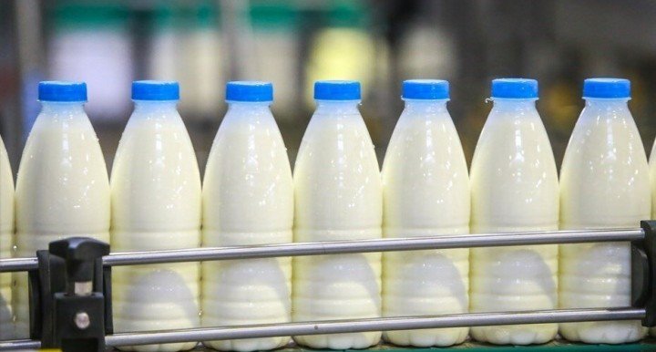 КЧР. Объем экспорта молочной продукции из Карачаево-Черкесии вырос по сравнению с аналогичным периодом прошлого года