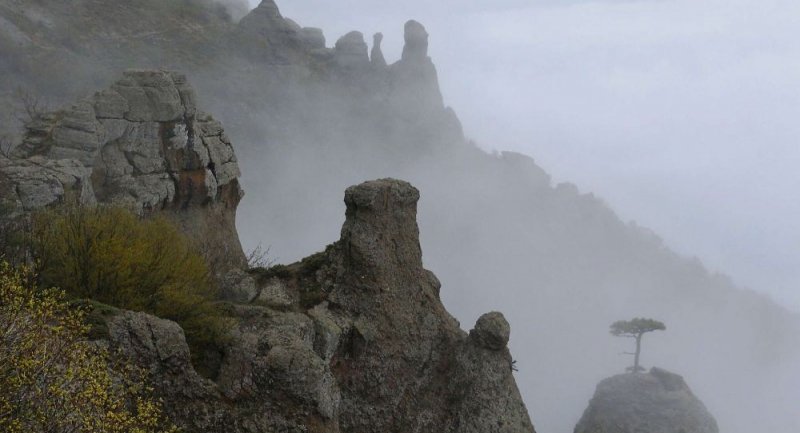 КРЫМ. Суббота в Крыму: туман и небольшой ночной дождь