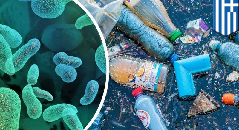 Найдены микроорганизмы, которые «едят» пластик