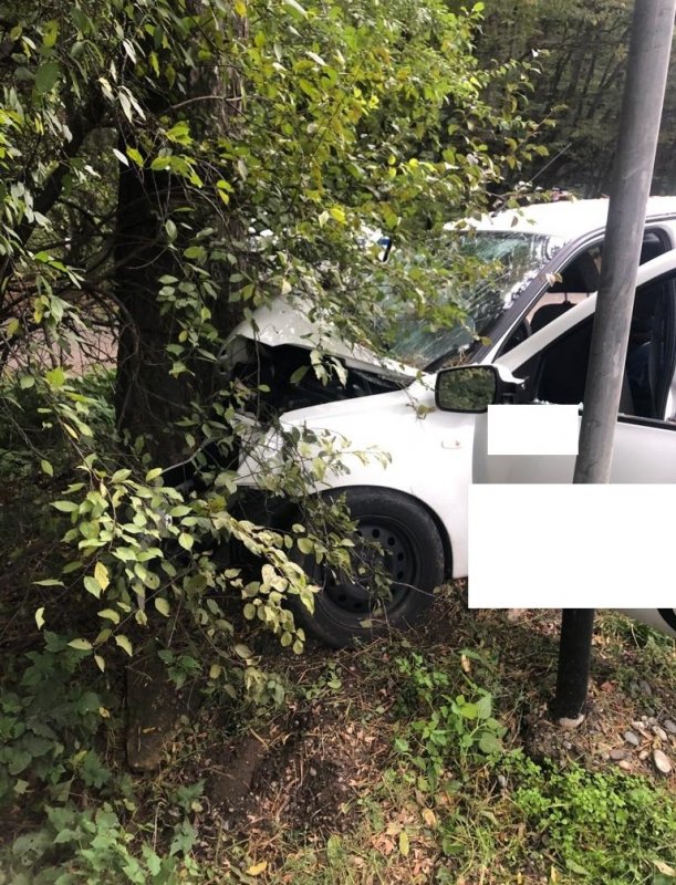СТАВРОПОЛЬЕ. Пассажир легковушки погиб после столкновения с деревом на Ставрополье