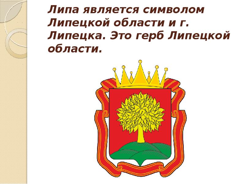 Липецкие предприниматели подарили Грозному на день рождения символ своего города – металлическую липу