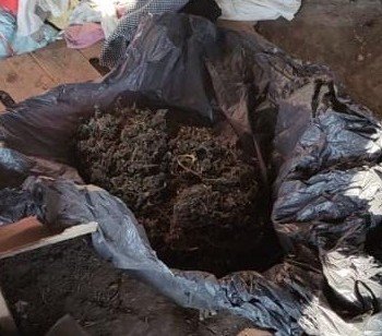 АДЫГЕЯ. В Адыгее полицией у жителя Кошехабльского района изъята четверть килограмма наркотиков