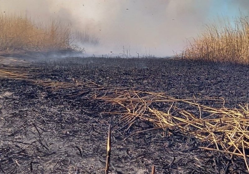 АСТРАХАНЬ. Запах гари.в воздухе подступил к Астрахани из пяти районов