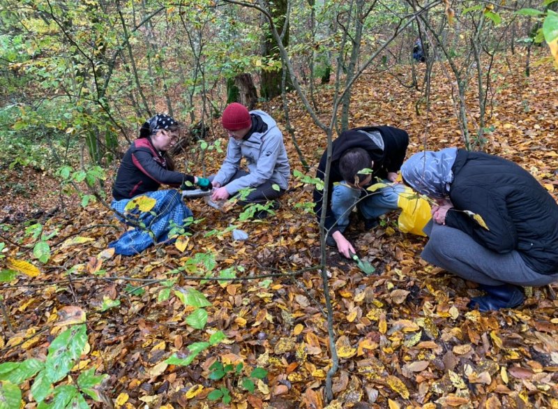 ЧЕЧНЯ. Студенты ЧГПУ совместно с учеными провели однодневную экспедицию в предгорные и горные леса ЧР