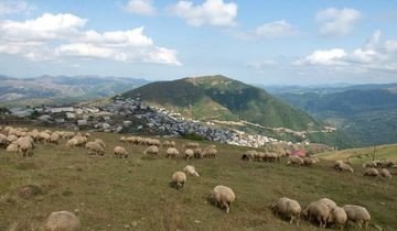 ЧЕЧНЯ. Власти Чечни утвердили новые инвестпроекты в горных районах