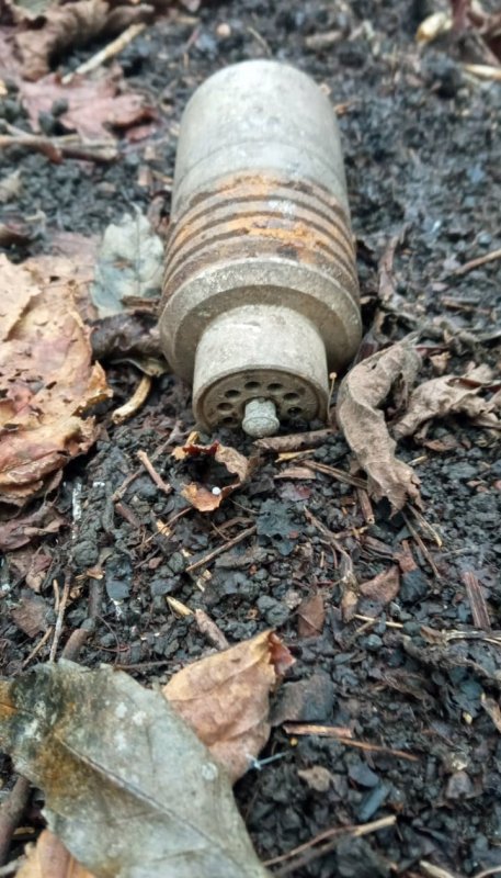 ЧЕЧНЯ. Военнослужащие уничтожили найденные в лесном массиве боеприпасы