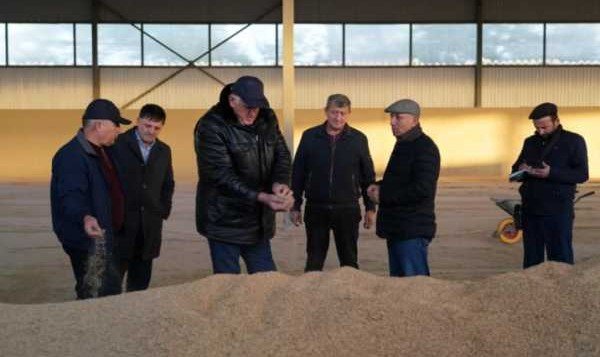 ДАГЕСТАН. Абдулмуслим Абдулмуслимов провел выездное совещание для оценки состояния рисоводчества на севере Дагестана