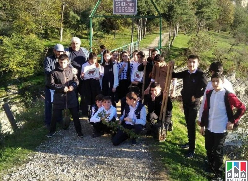 ДАГЕСТАН. Дагестанские школьники поддержали Всероссийскую акцию «Сохраним лес»