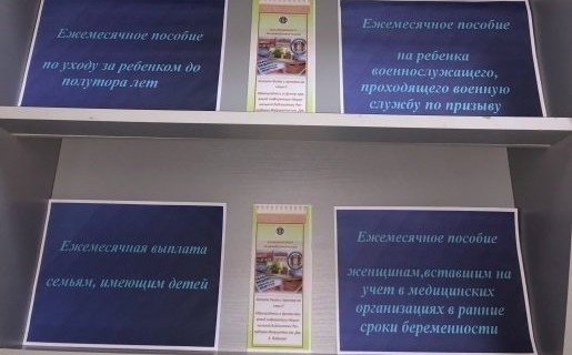 ИНГУШЕТИЯ. В Национальной библиотеке Ингушетии посетители узнают о пособиях и выплатах гражданам, имеющим детей
