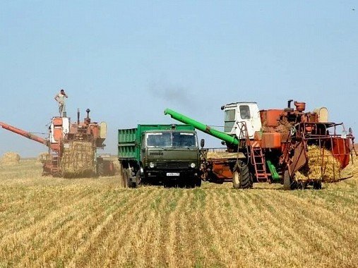 КАЛМЫКИЯ. С Днём работника сельского хозяйства и перерабатывающей промышленности!