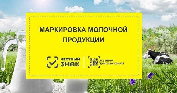 КБР. Молокоперерабатывающие предприятия Кабардино-Балкарии готовы к маркировке продукции