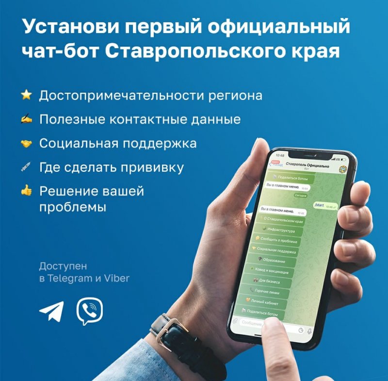 СТАВРОПОЛЬЕ. В мессенджерах Telegram и Viber начал работу официальный чат-бот Ставропольского края