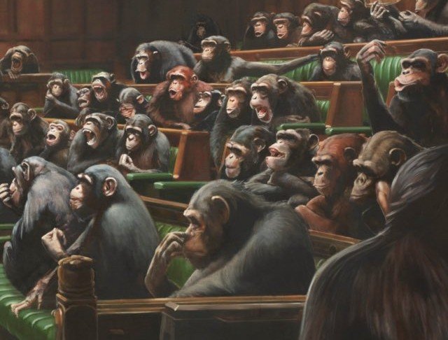 Ученые сравнили политиков и обезьян. Оказалось, в их поведении есть сходства.