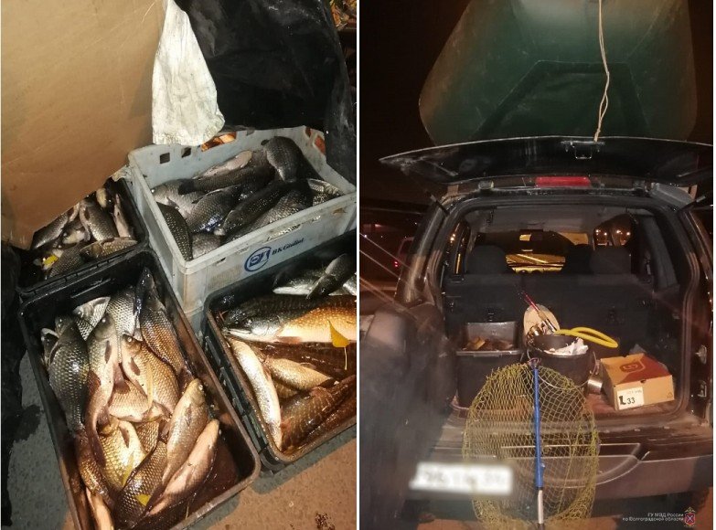 ВОЛГОГРАД. Полиция задержала браконьера с электроудочкой и сотней рыб
