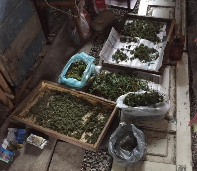АДЫГЕЯ. Полицией Майкопа возбуждены уголовные дела по фактам незаконного хранения наркотиков и культивирования конопли